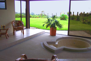 The in-house jacuzzi is beautifully located with a great view.